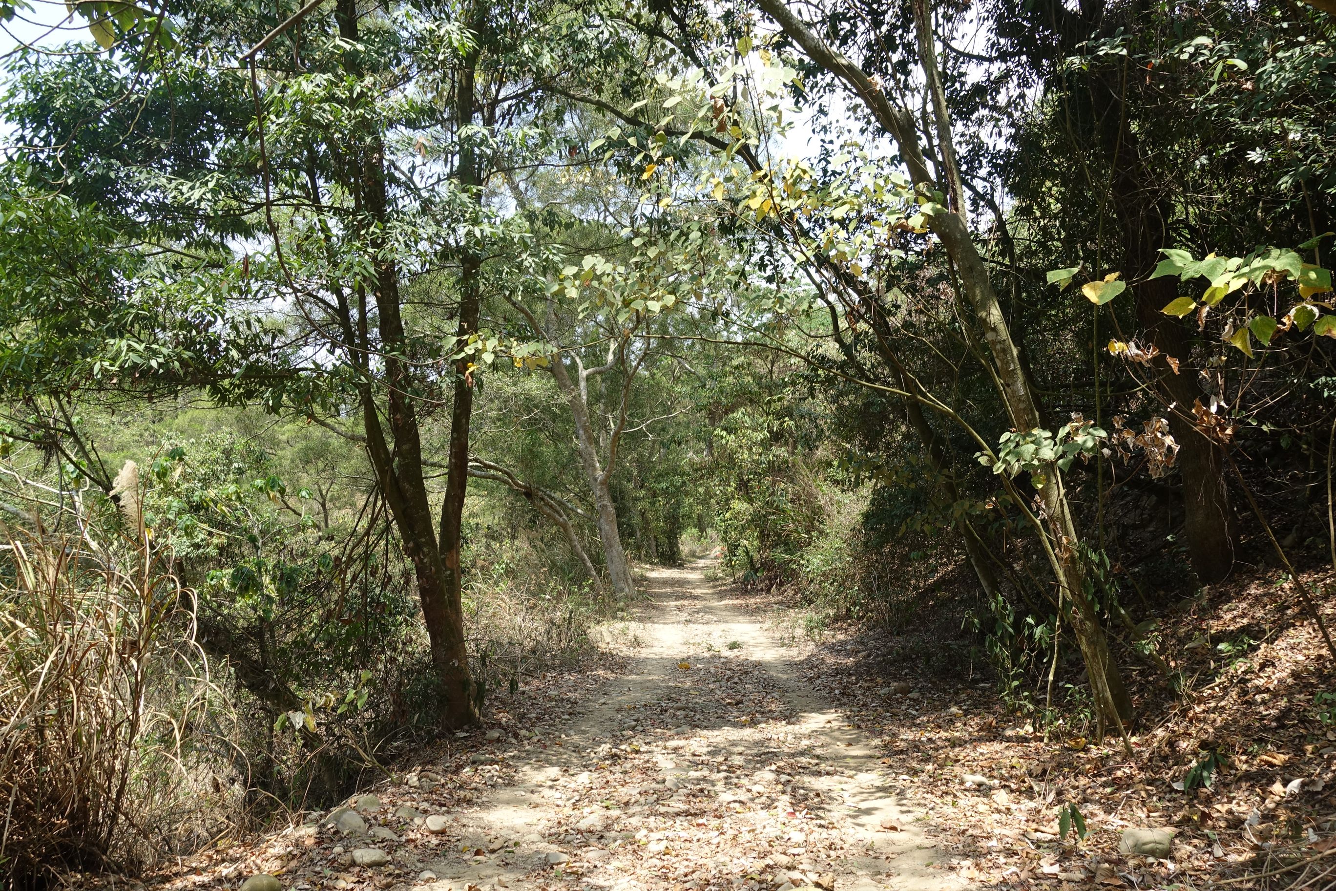 步道全线为天然的土石路