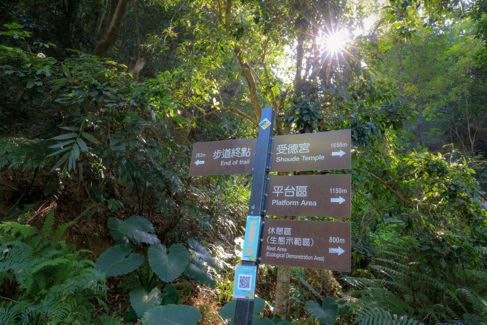 坑内坑森林步道