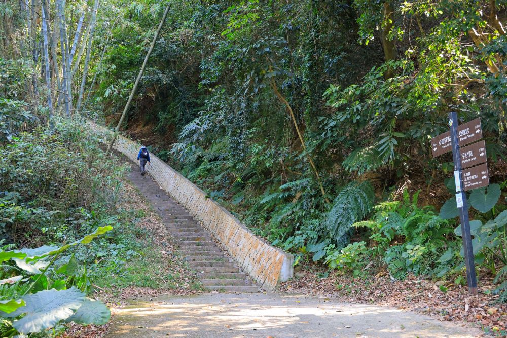 坑内坑森林步道