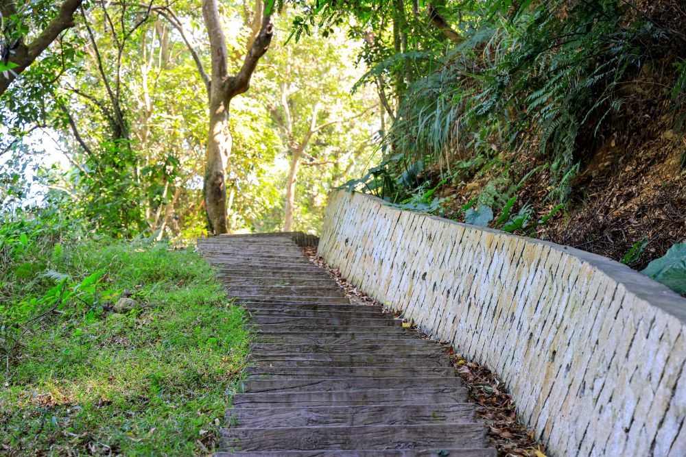 坑内坑森林步道