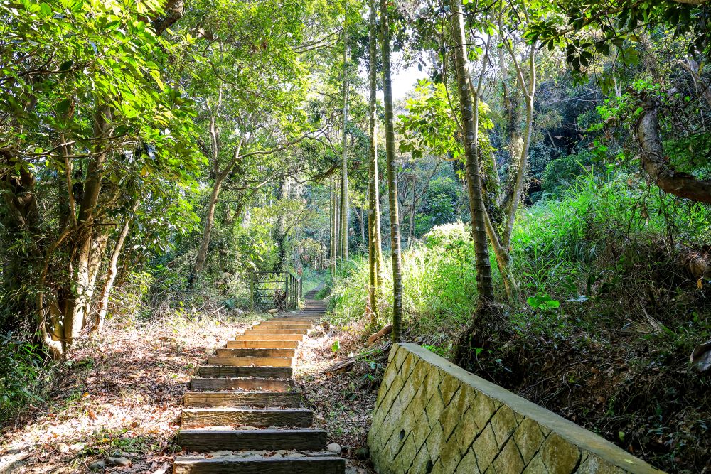 坑内坑森林步道