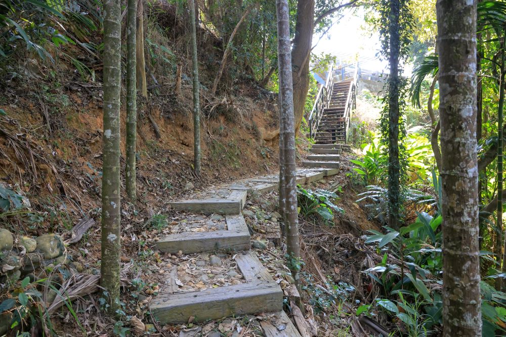 坑内坑森林步道