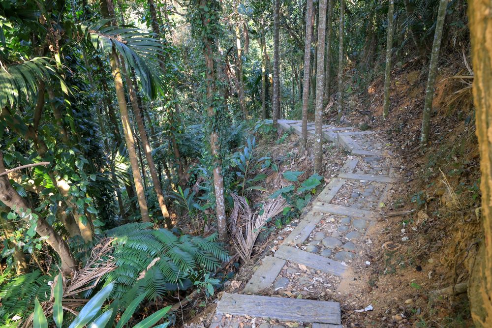 坑内坑森林步道