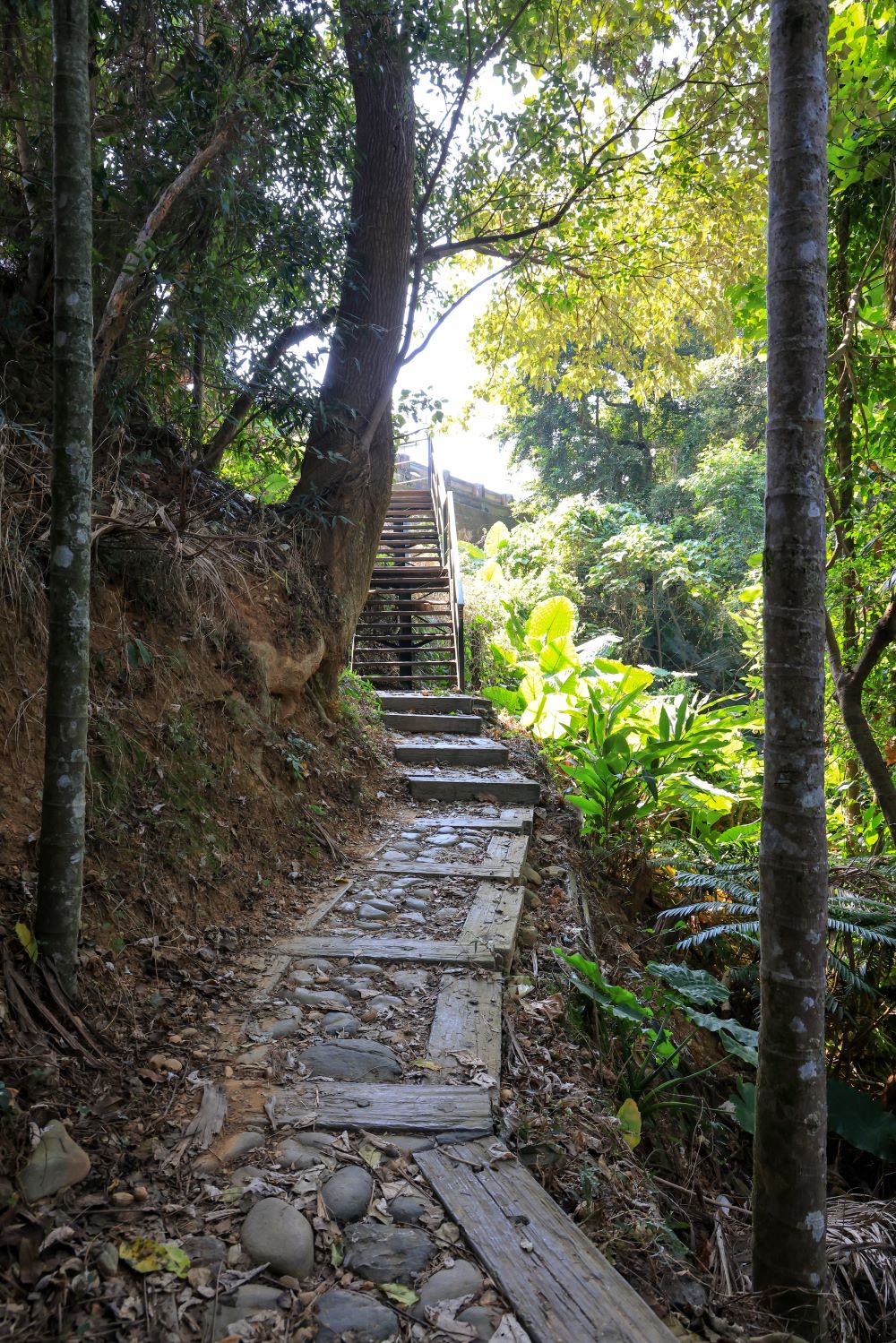 坑内坑森林步道