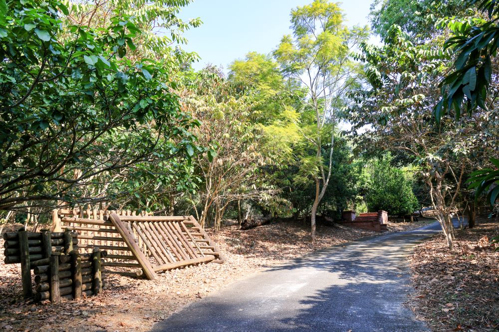 坑内坑森林步道