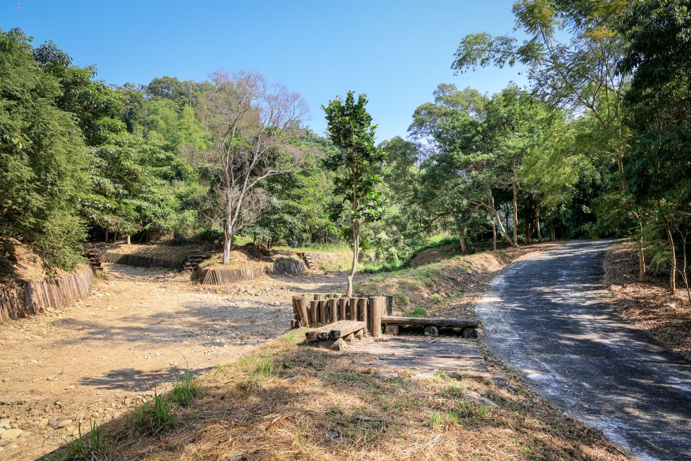 坑内坑森林步道