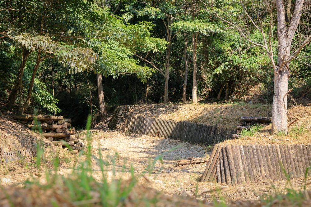 坑内坑森林步道