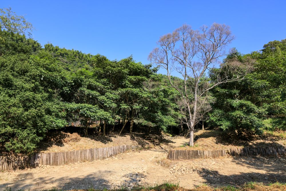 坑内坑森林步道