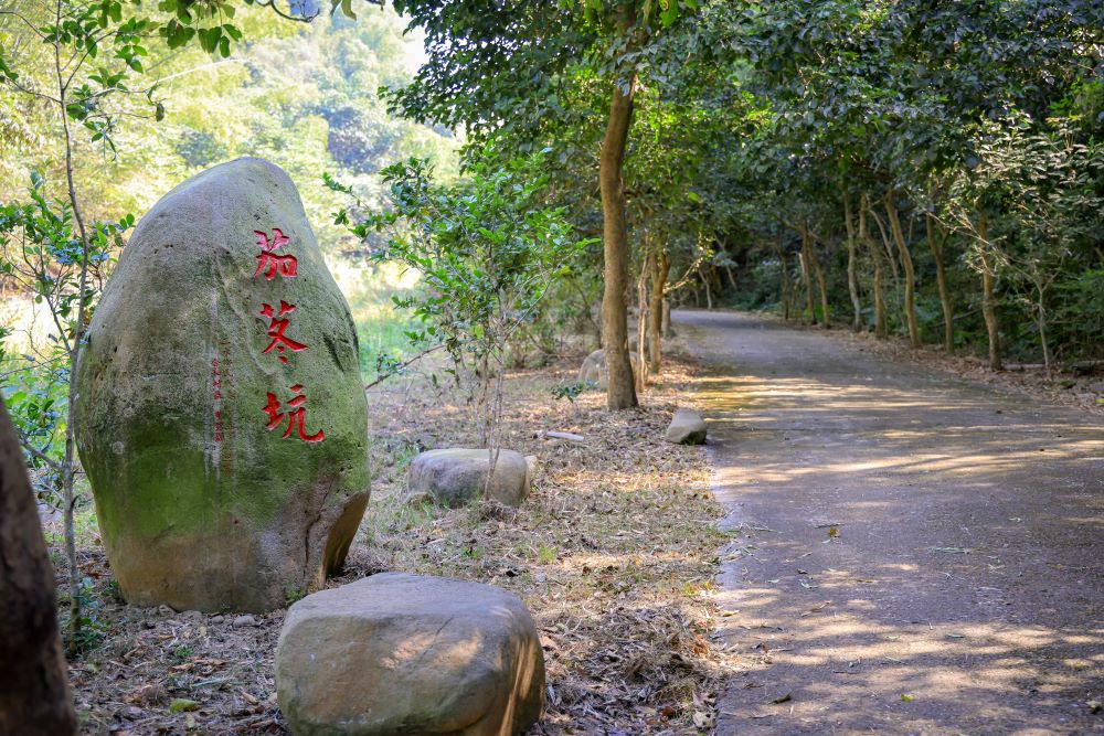 坑内坑森林步道