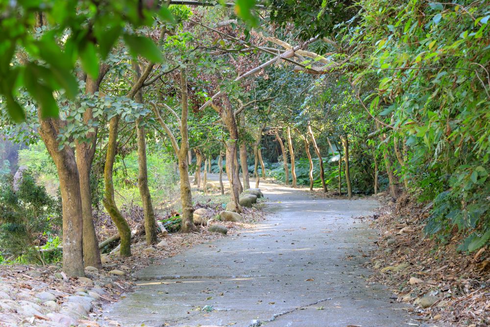 坑内坑森林步道