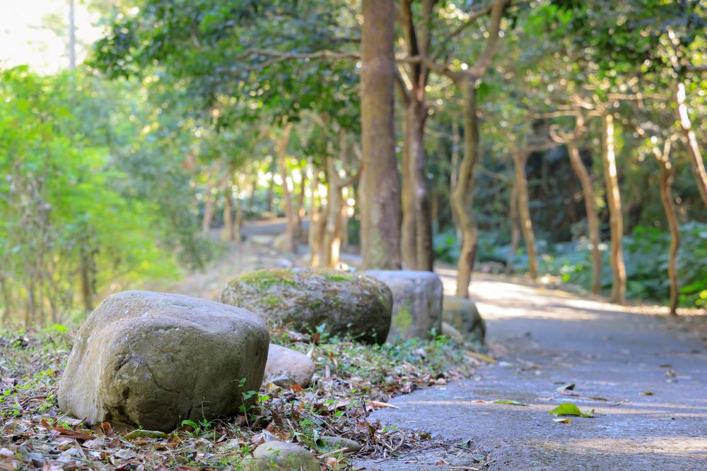 坑内坑森林步道