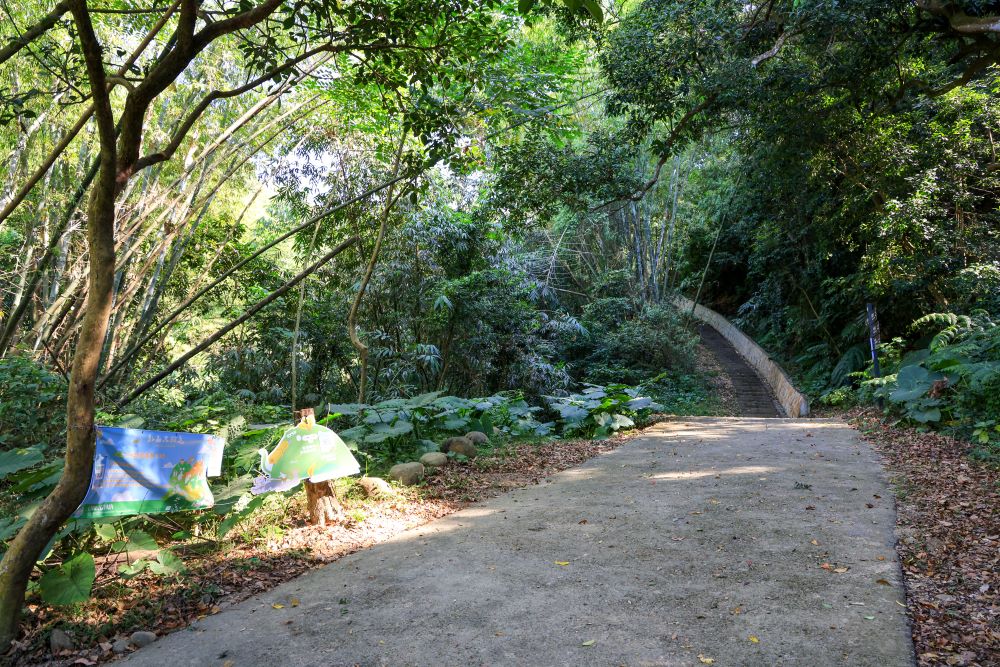 坑内坑森林步道