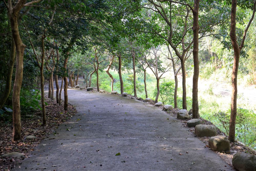 坑内坑森林步道