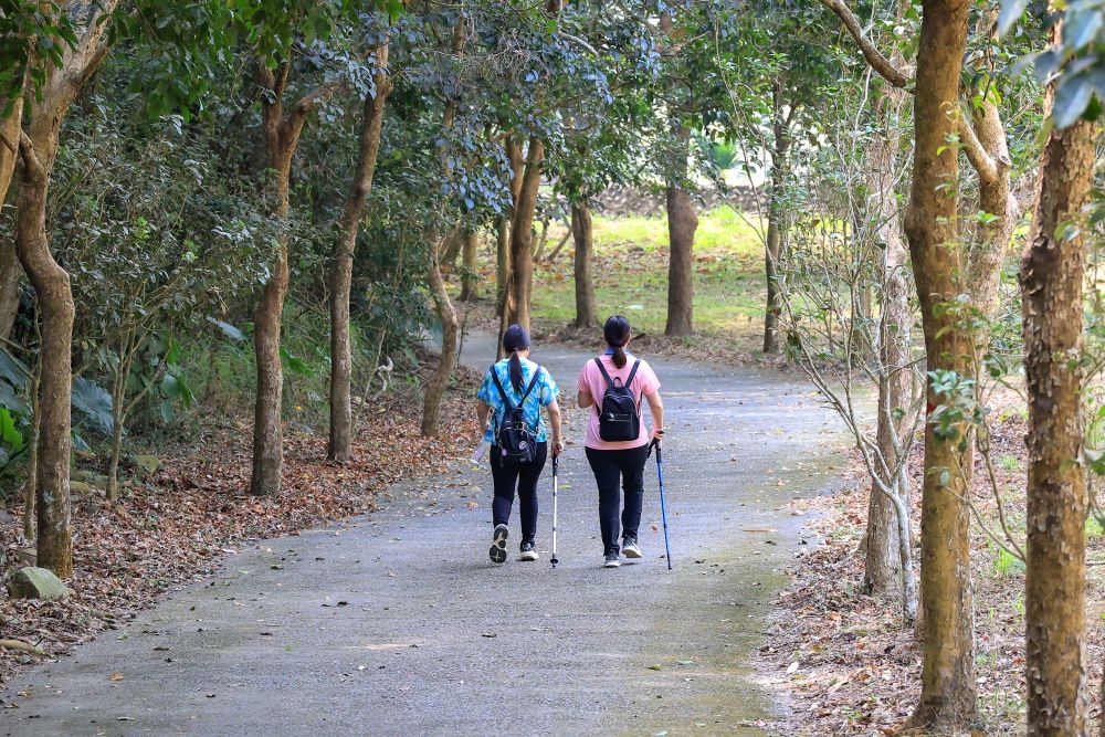 坑内坑森林步道