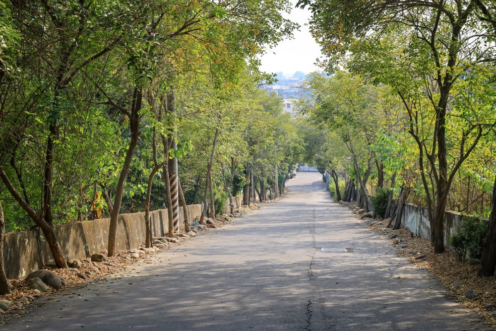 坑内坑森林步道