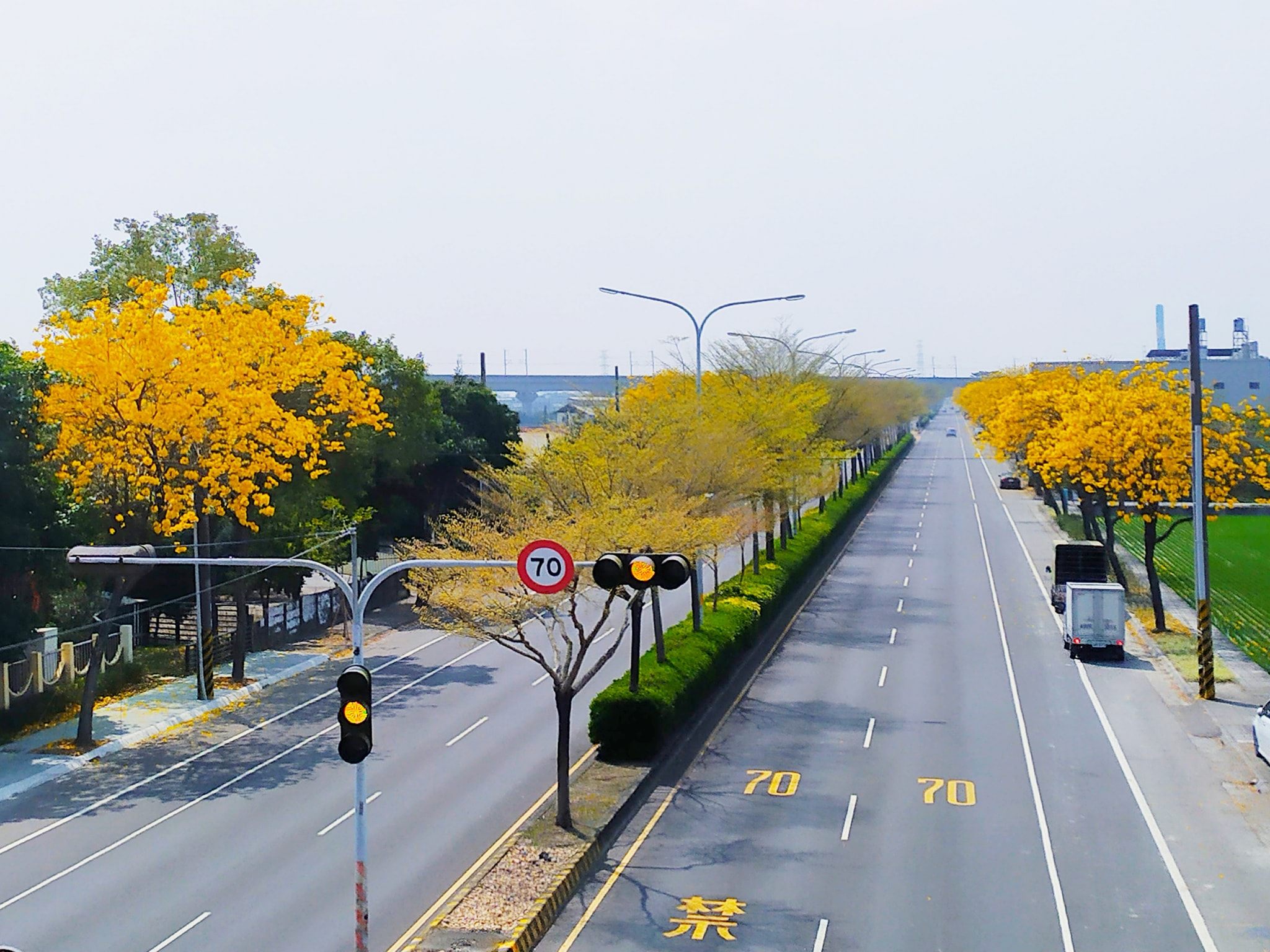 彰化溪州金色公路