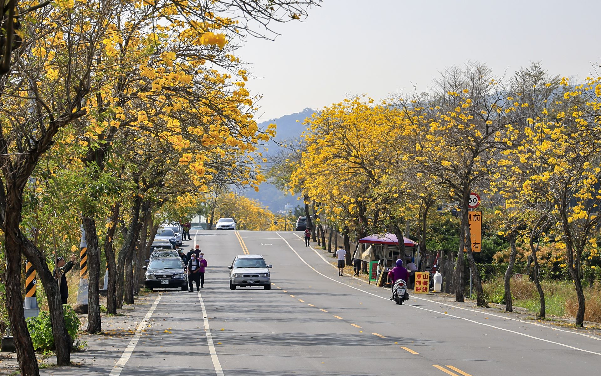 芬园乡彰南路（台14丁）