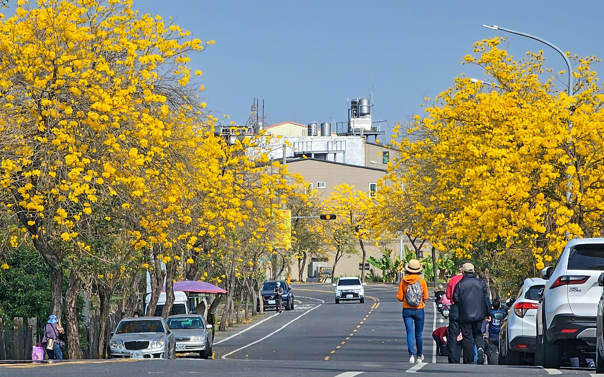 芬园乡彰南路（台14丁）