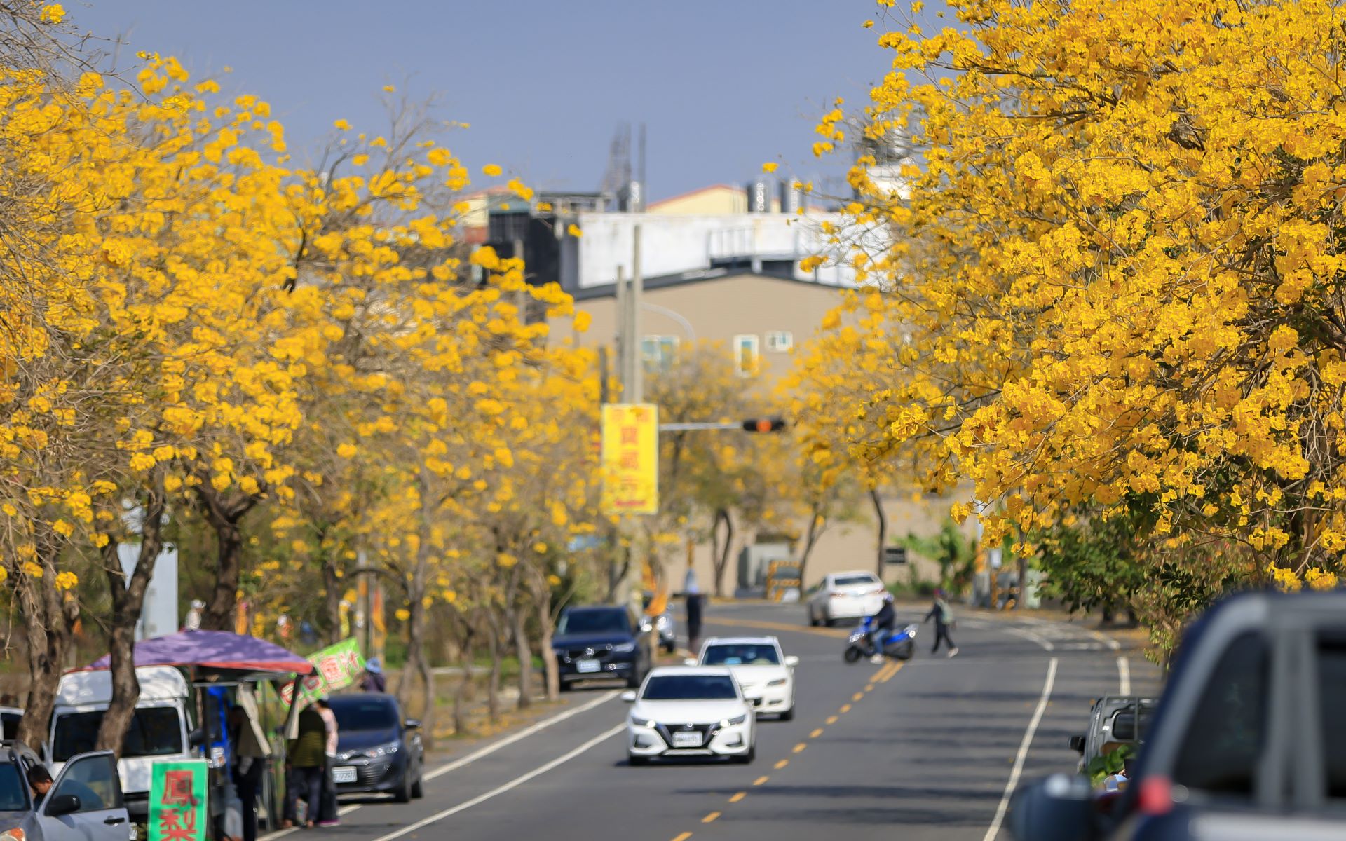 芬园乡彰南路（台14丁）