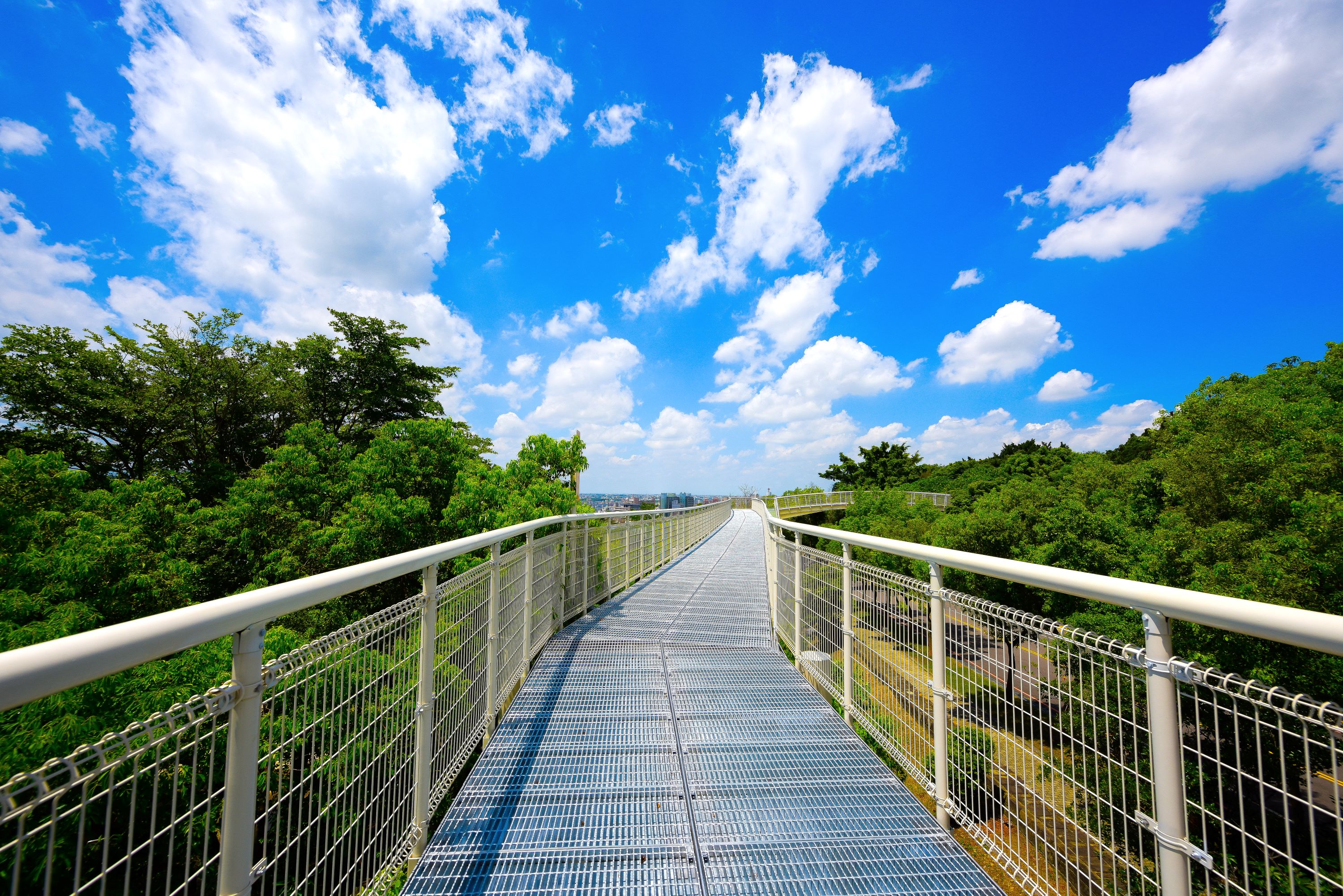 八卦山天空步道