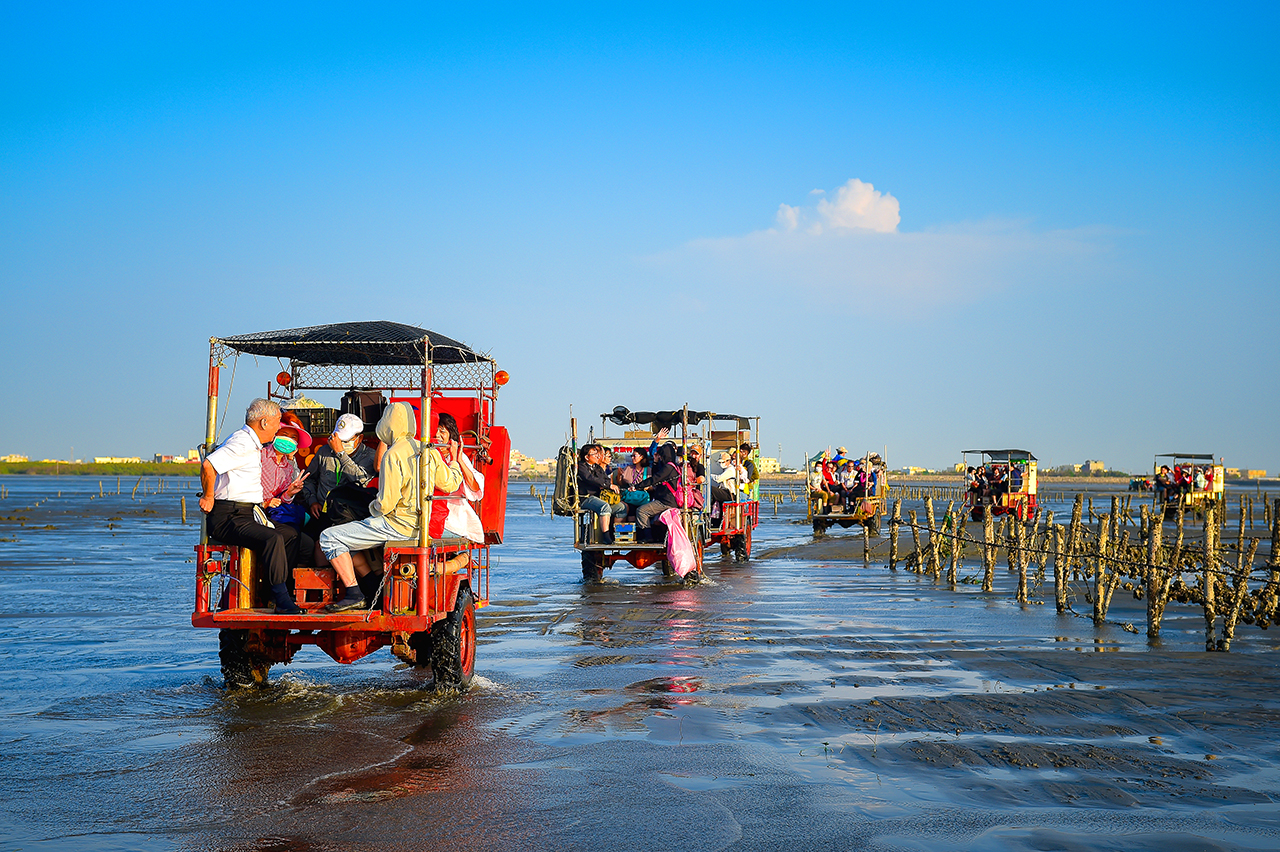 芳苑海牛采蚵生态旅游