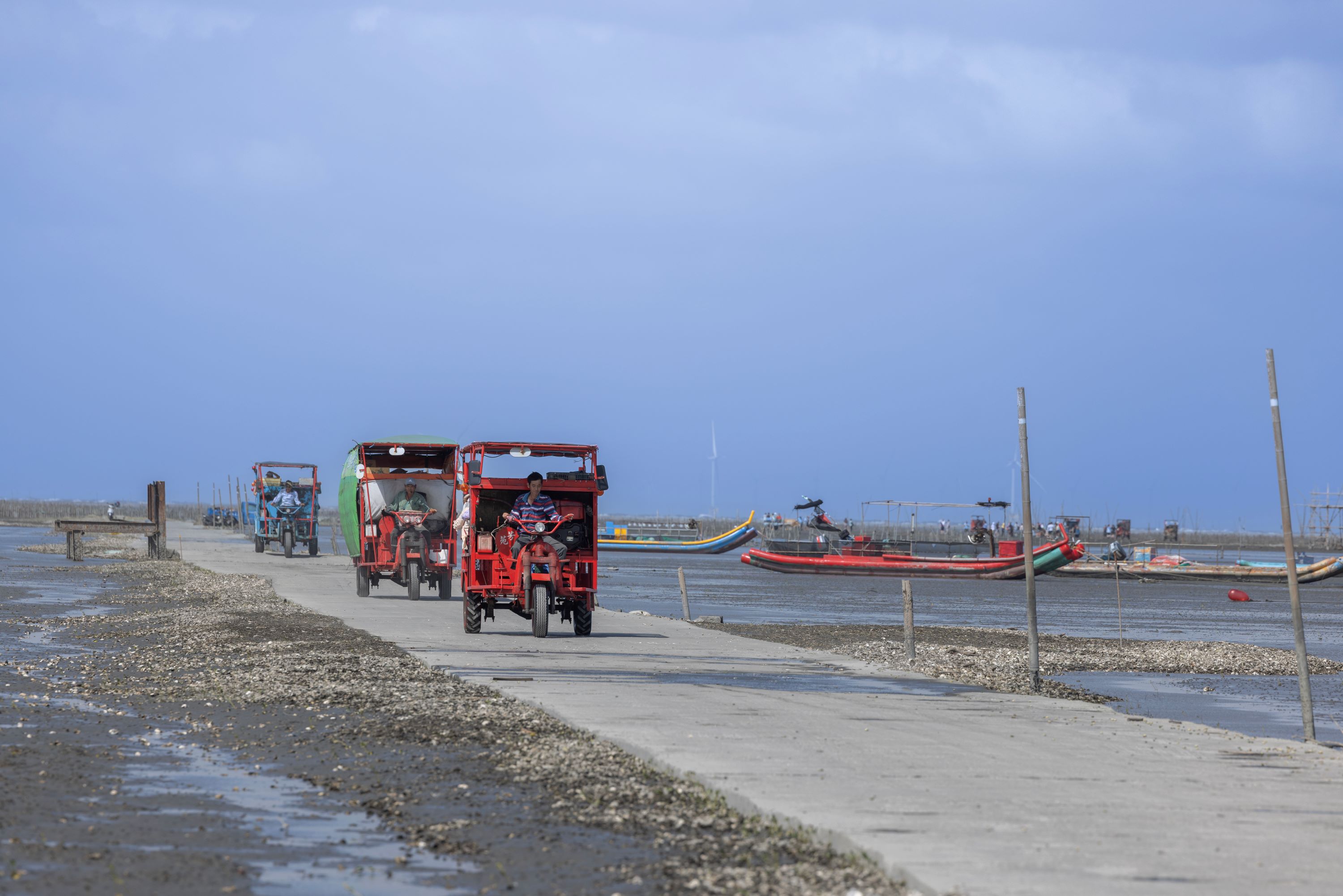 芳苑湿地红树林海空步道