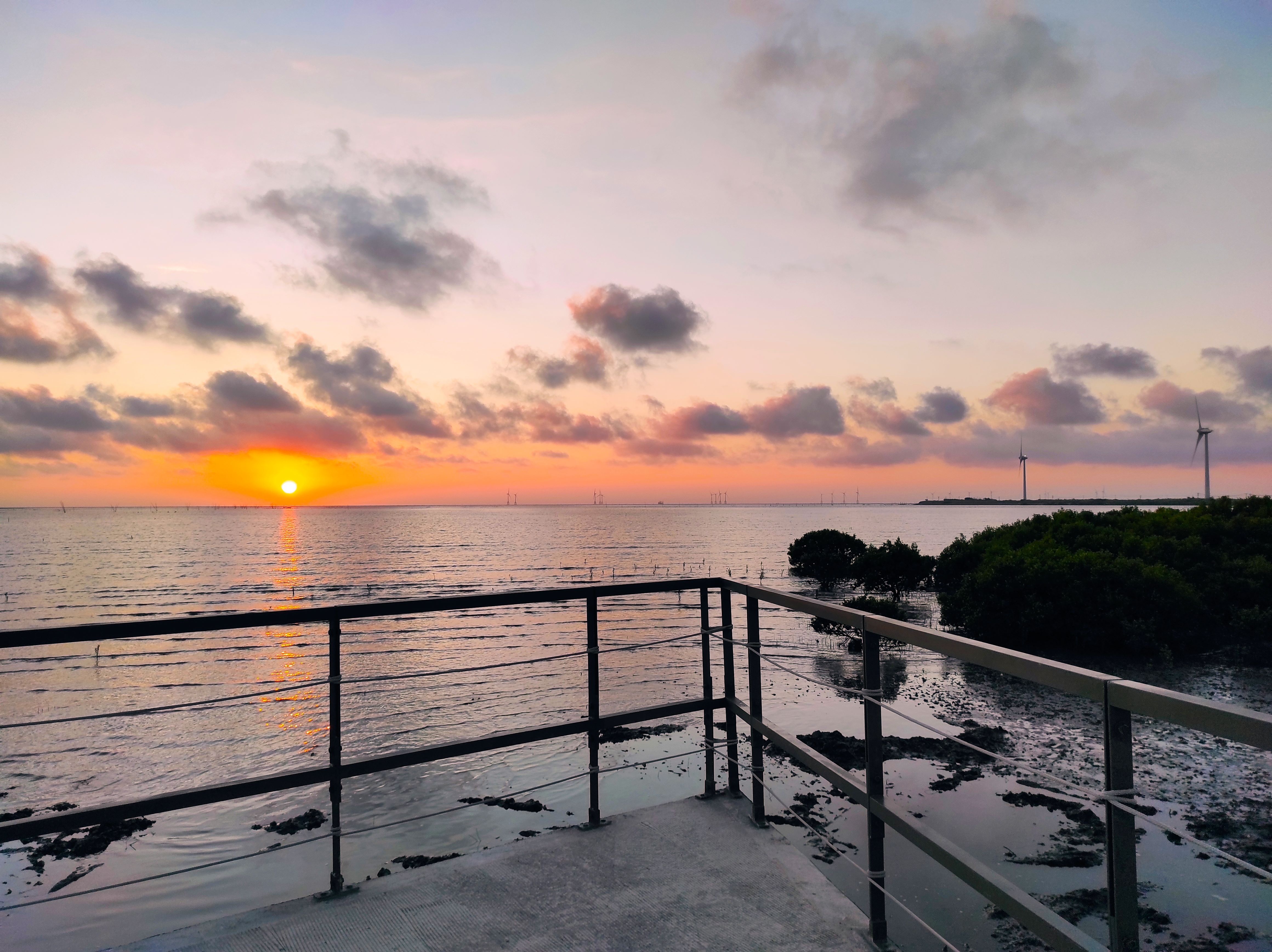 芳苑湿地红树林海空步道