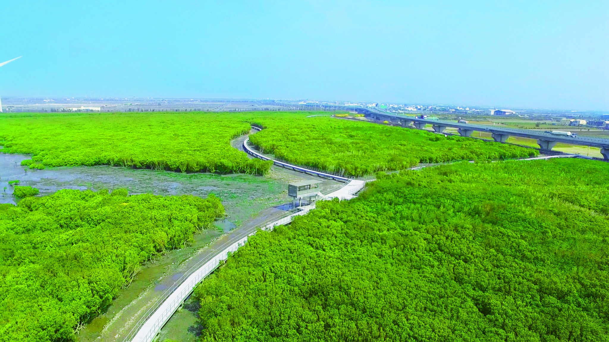 芳苑湿地红树林海空步道