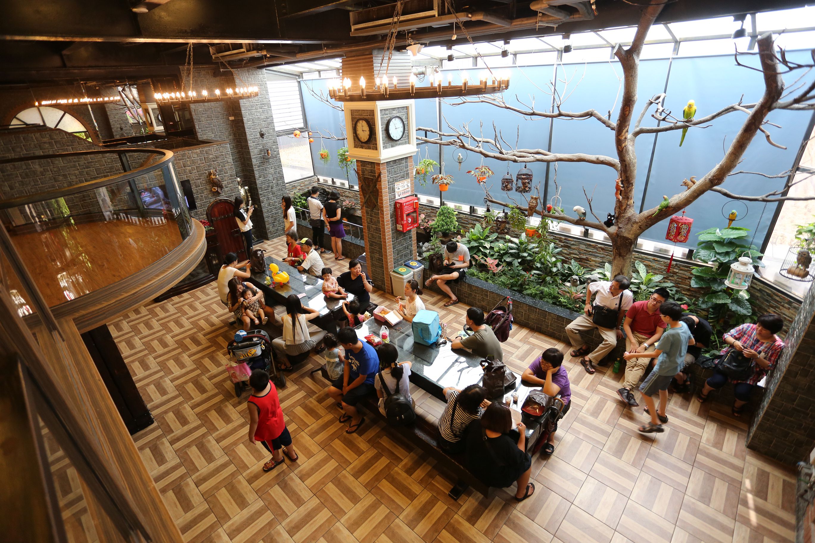 台湾优格饼干学院