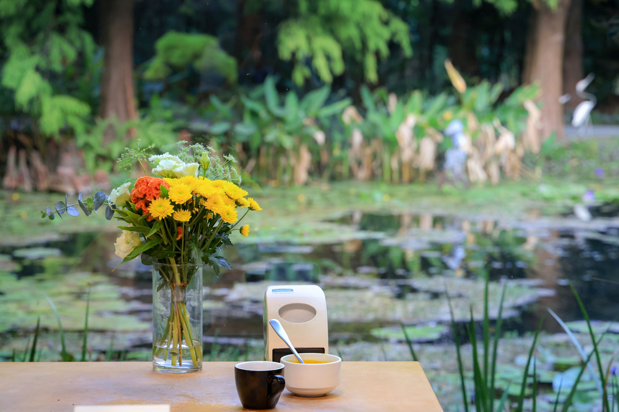 菁芳園 落羽松花園景觀餐廳