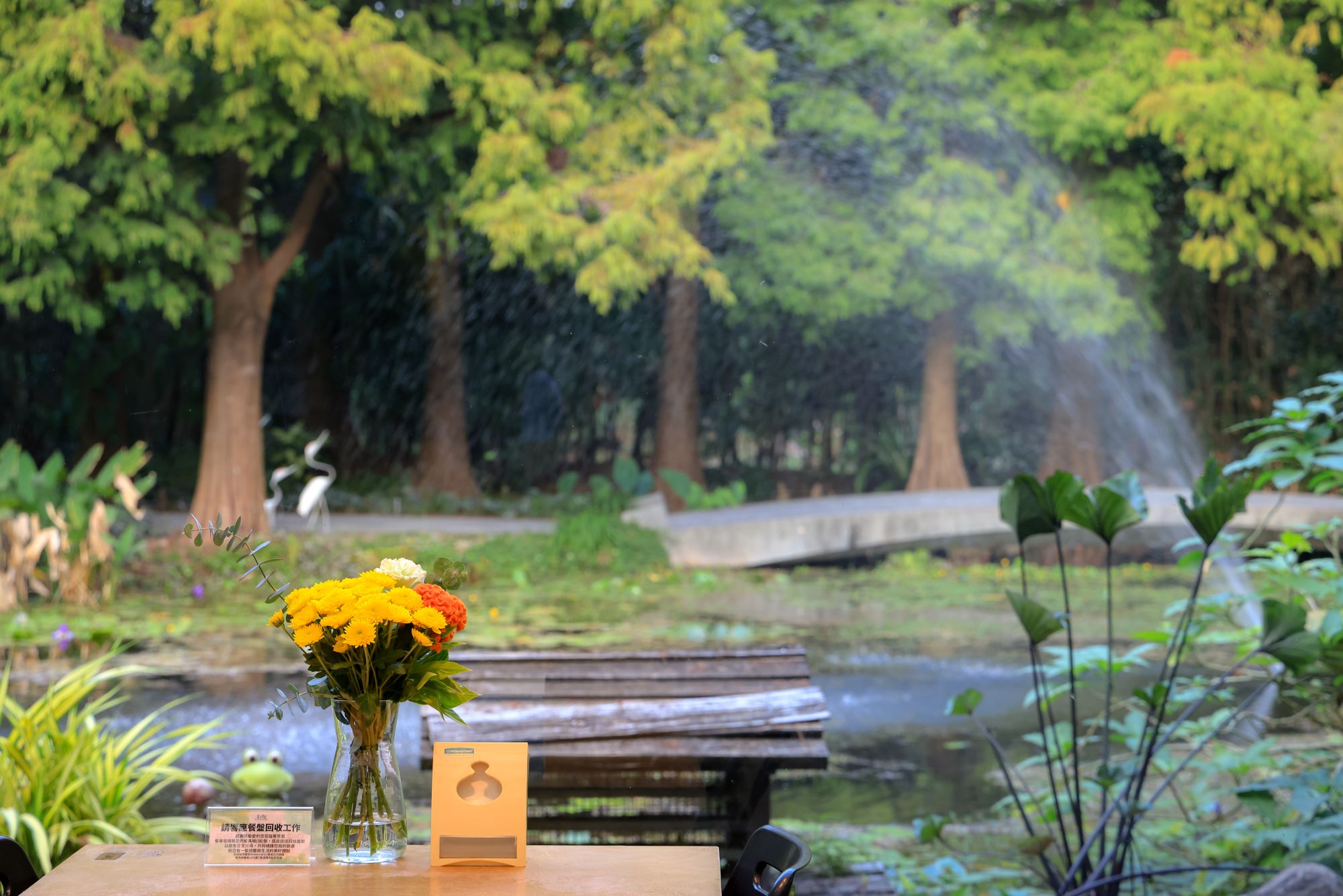 菁芳園 落羽松花園景觀餐廳