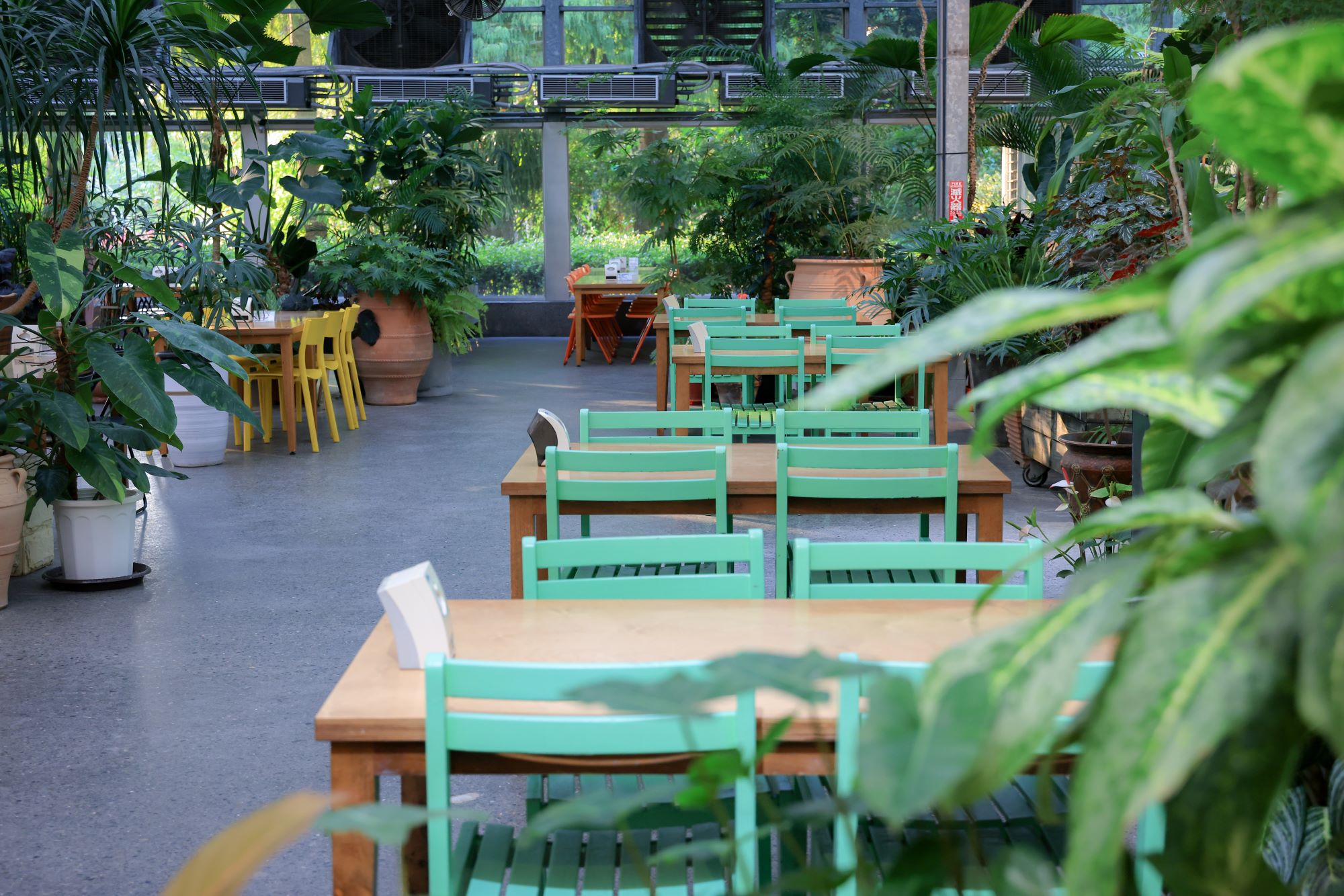 菁芳園 落羽松花園景觀餐廳