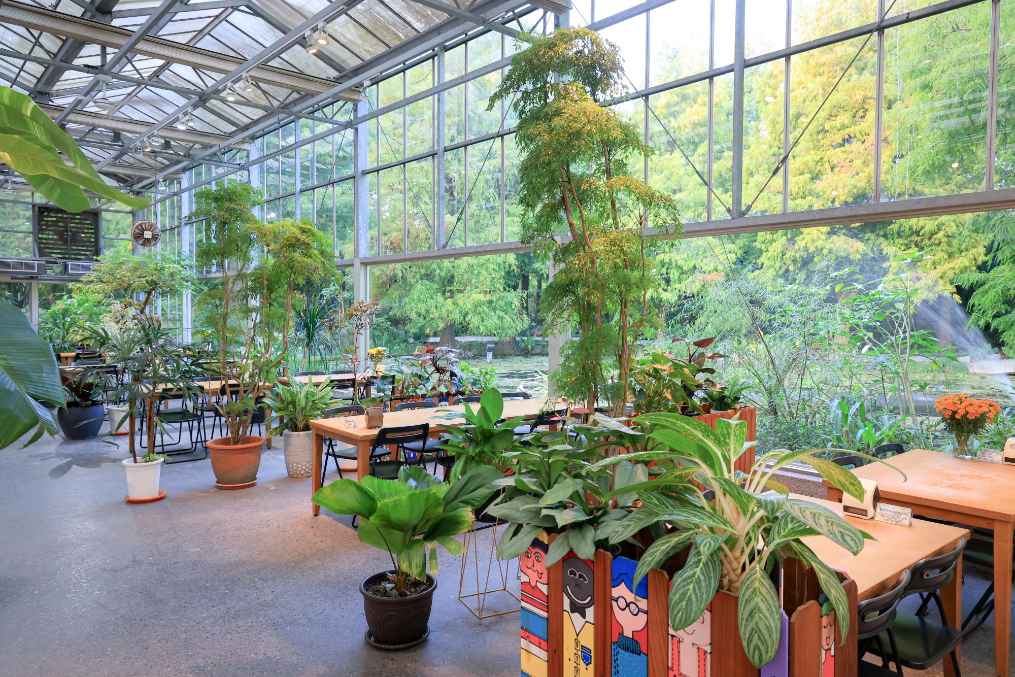 菁芳園 落羽松花園景觀餐廳