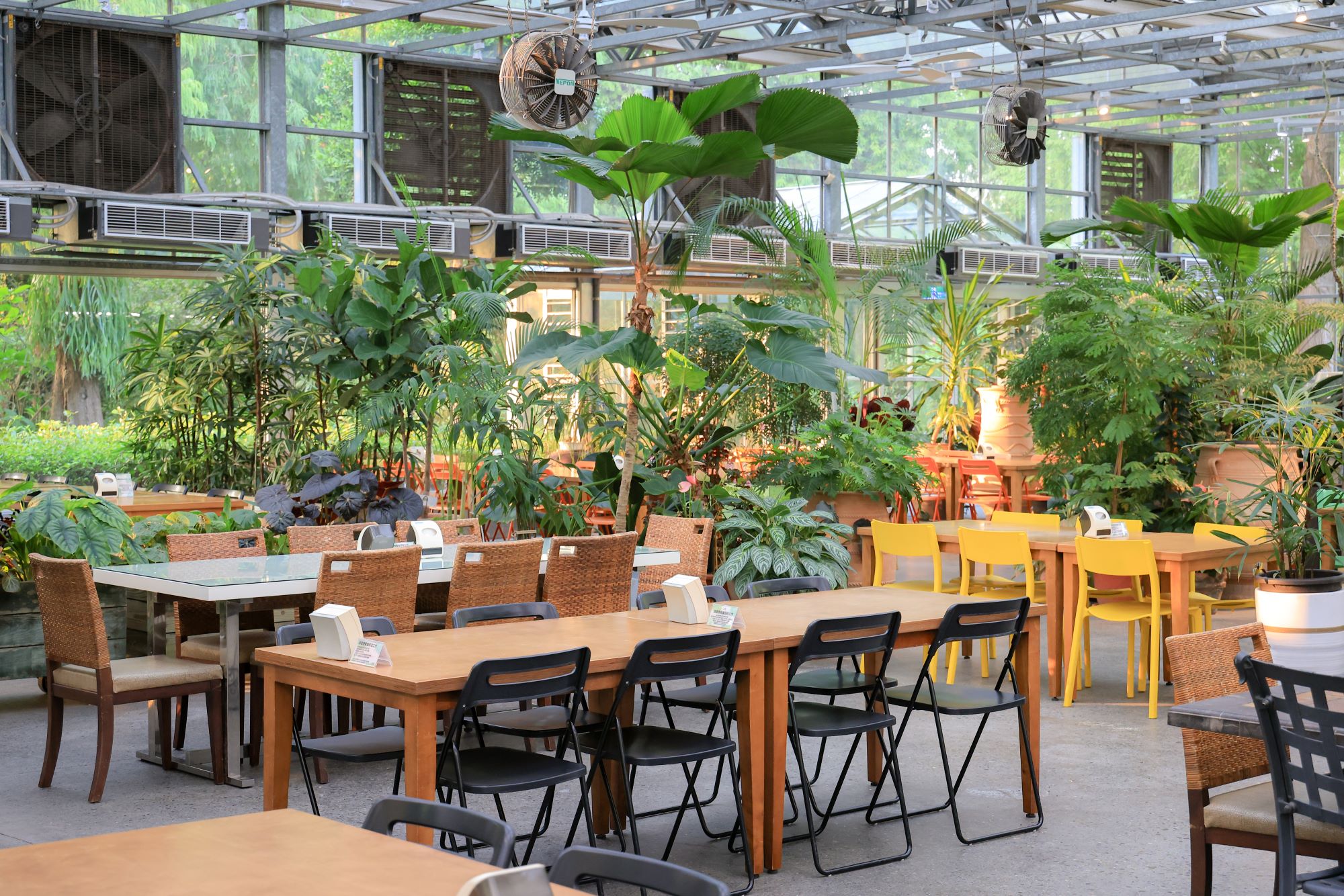 菁芳園 落羽松花園景觀餐廳