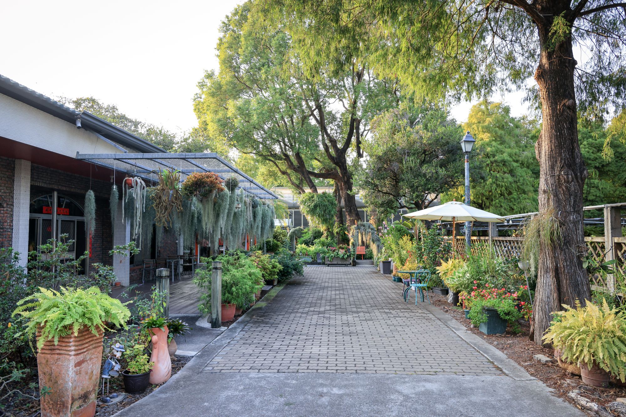 菁芳園 落羽松花園景觀餐廳