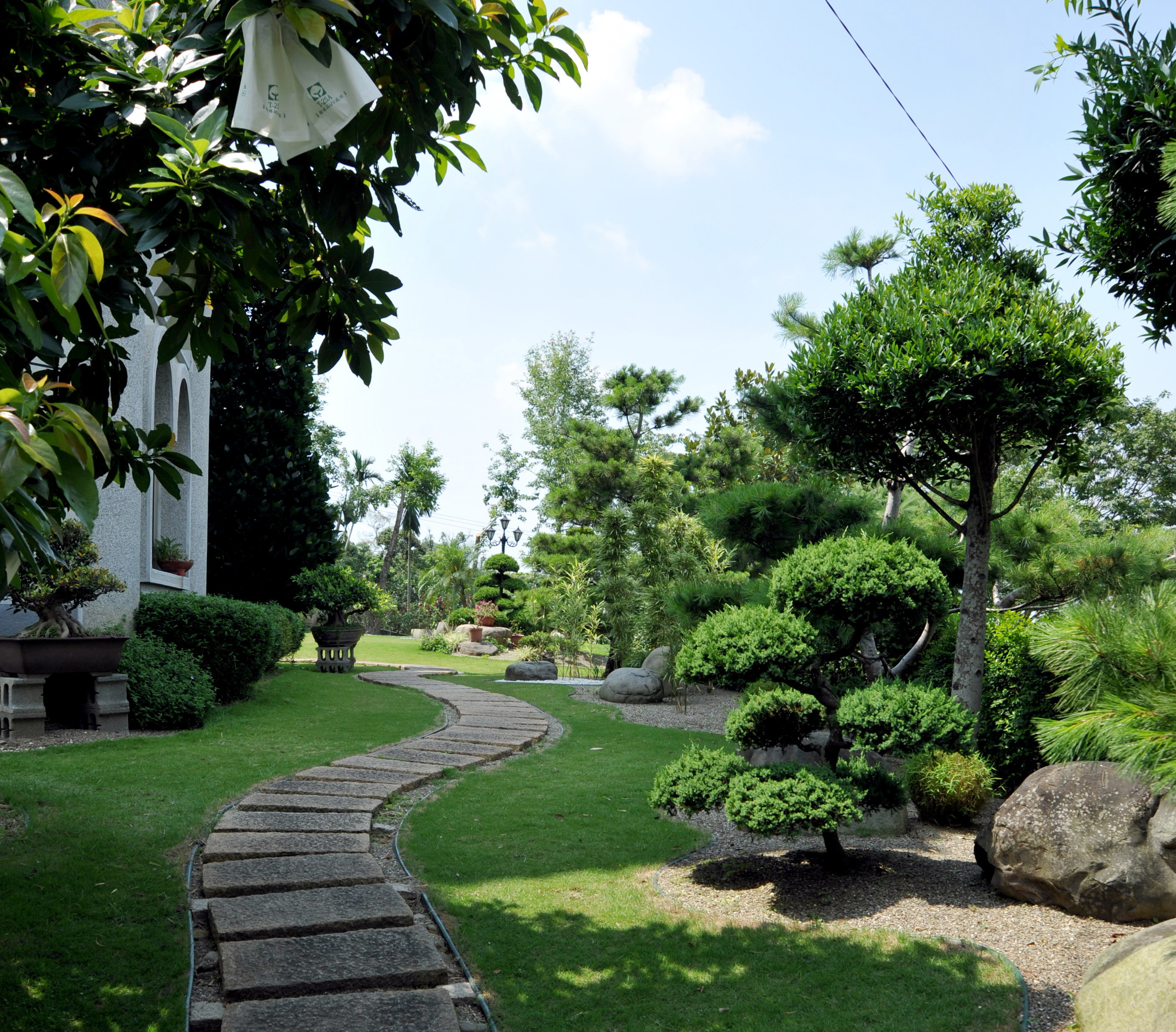 碧山庐禅的民宿-庭院