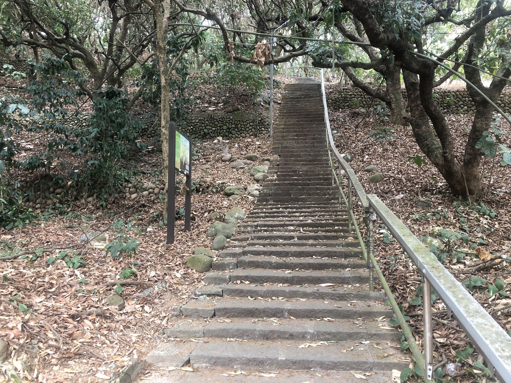 2串聯的支線步道四百崁為較陡峭的階梯