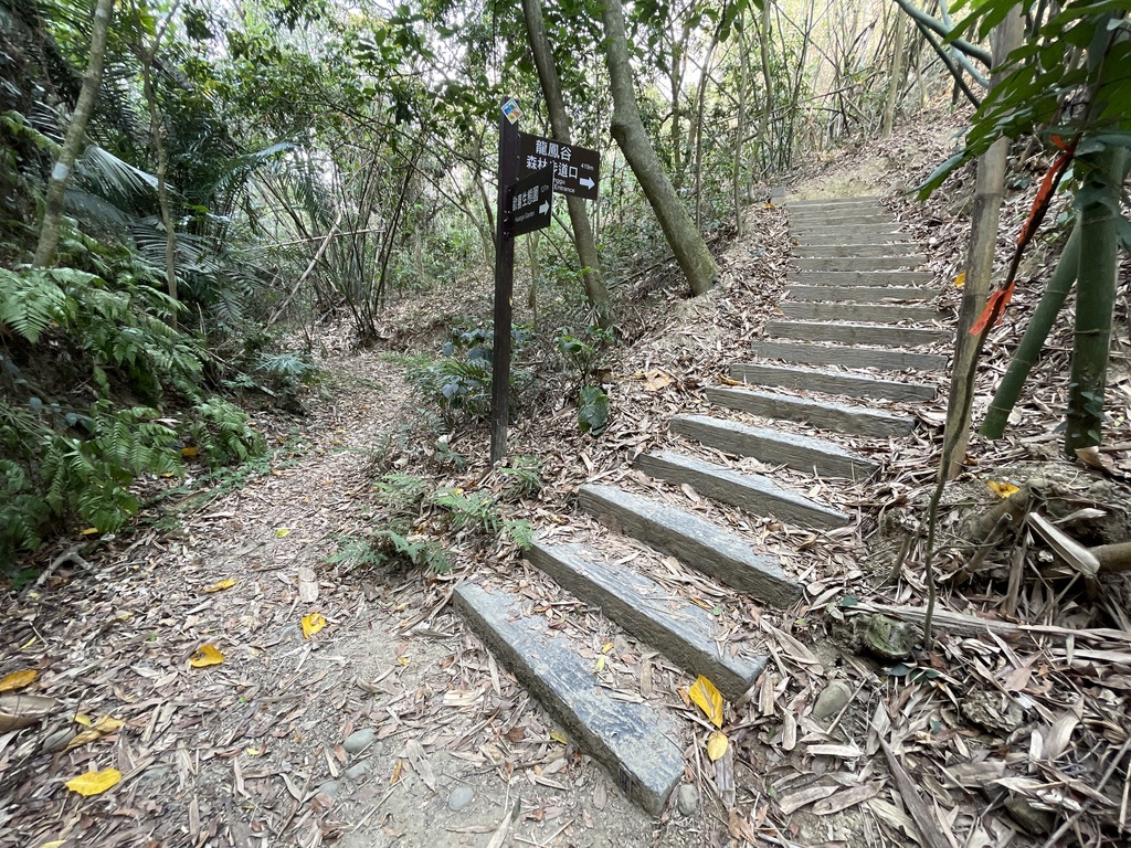 步道多為土石路面以及階梯，需小心行走