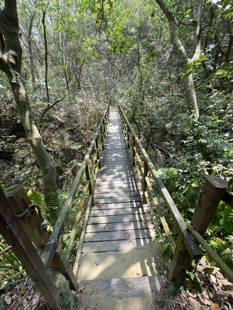 連結河溝兩岸的木棧橋