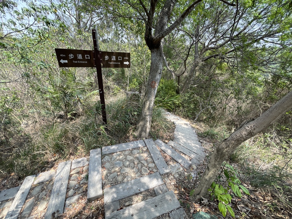 龍鳳谷森林步道多為階梯