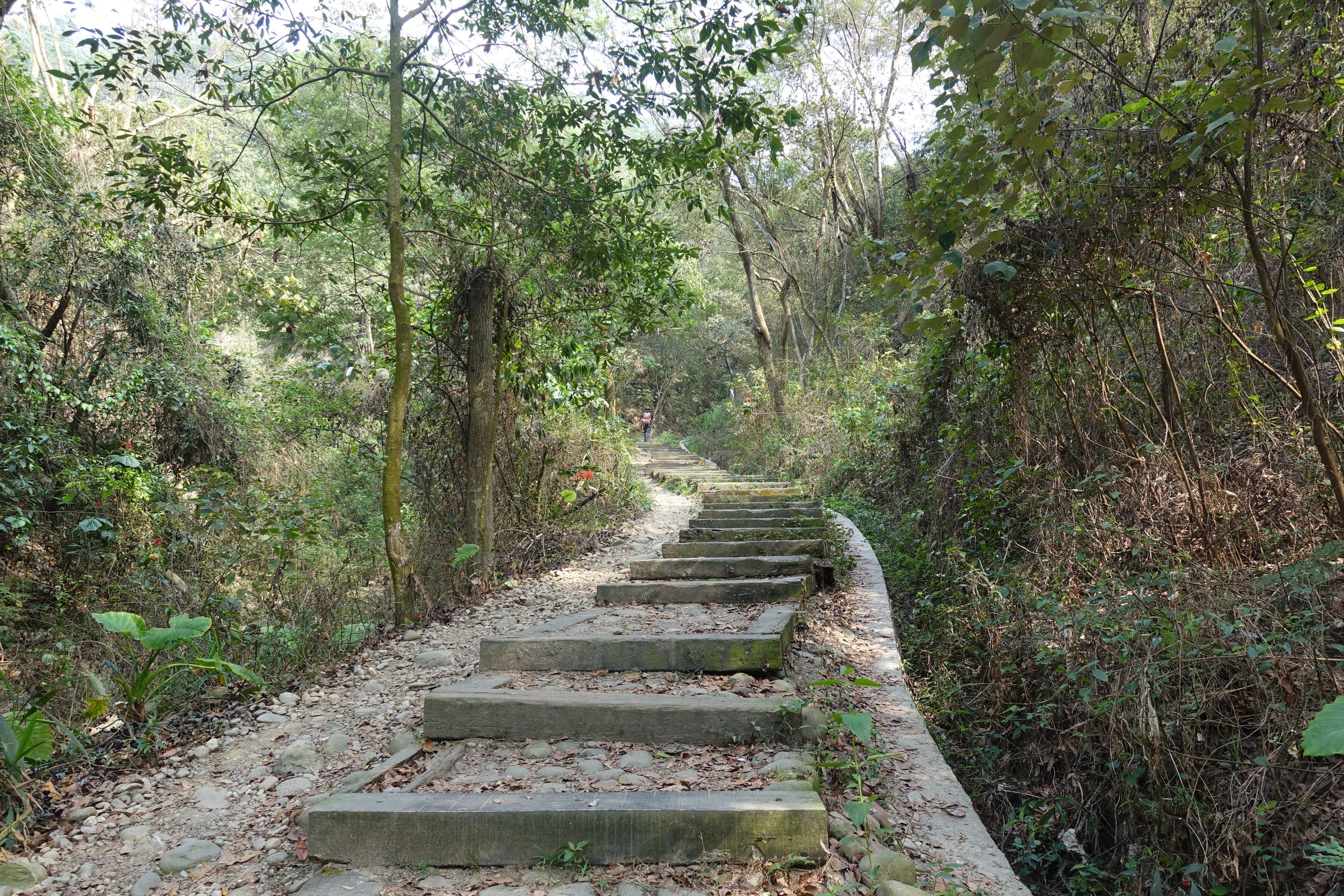 2十八彎古道全線為坡度平緩的林蔭步道，鋪面採用土石或木階梯重現歷史場景。