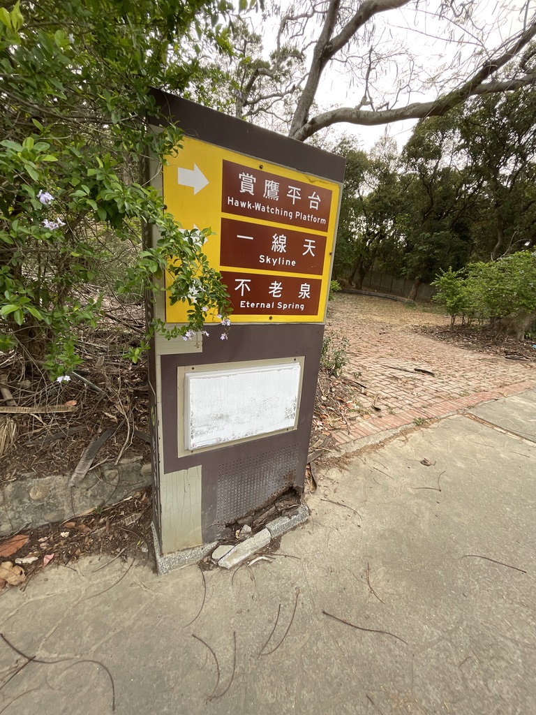 主視覺圖片