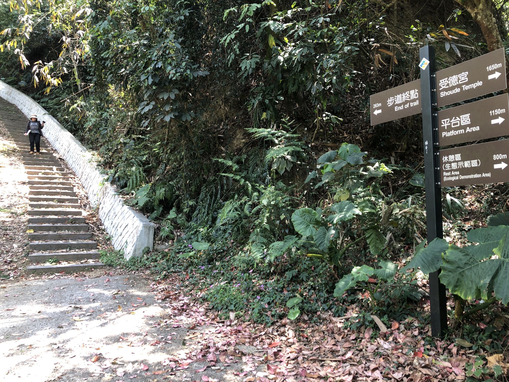 步道全線為陡峭的階梯