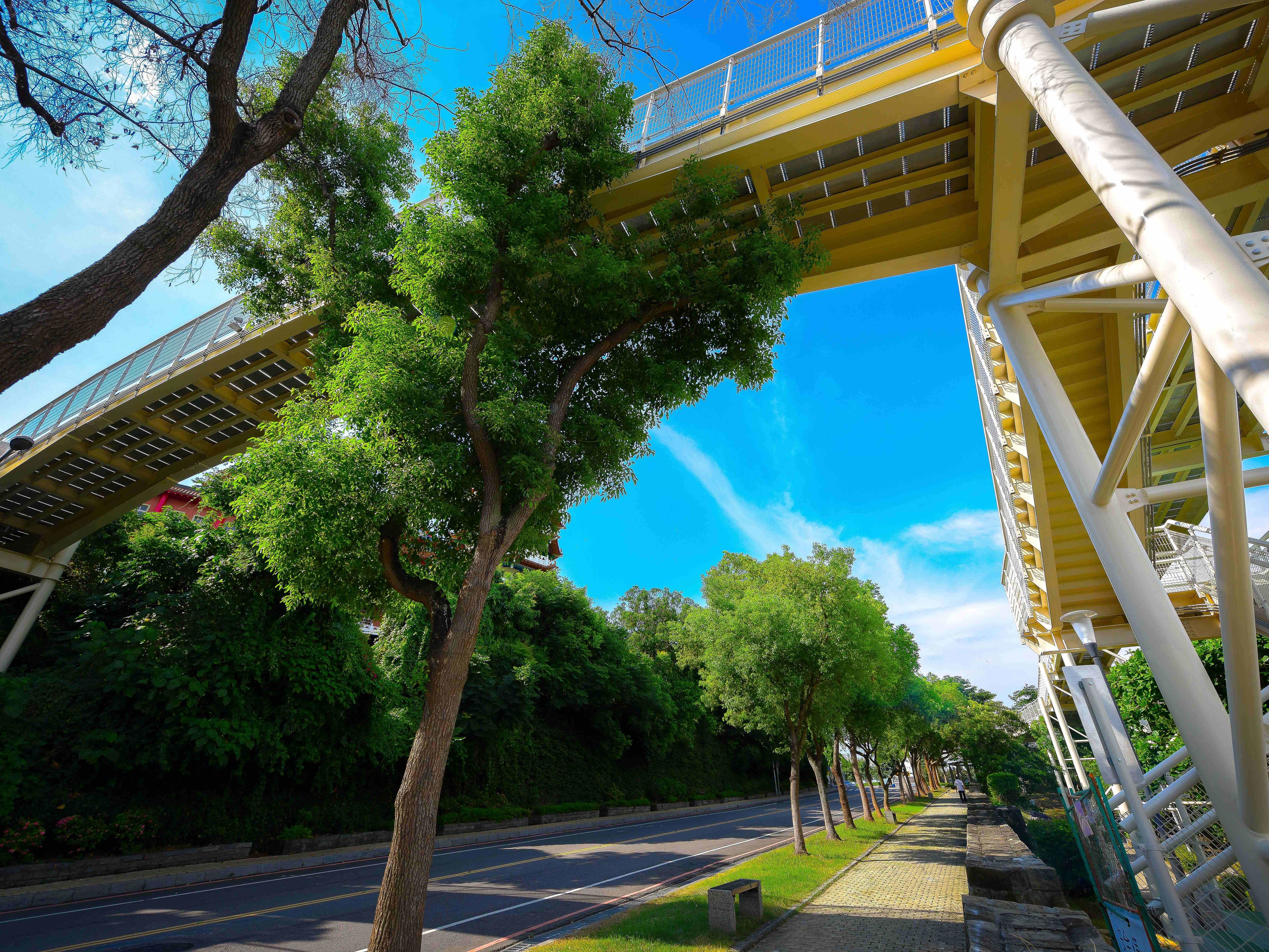 八卦山天空步道圖片