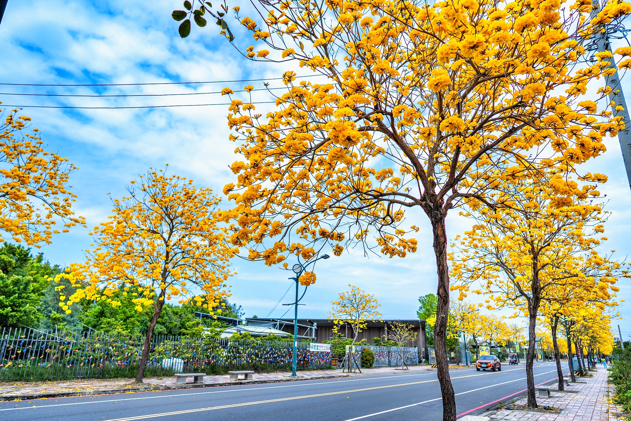 田尾公路花園