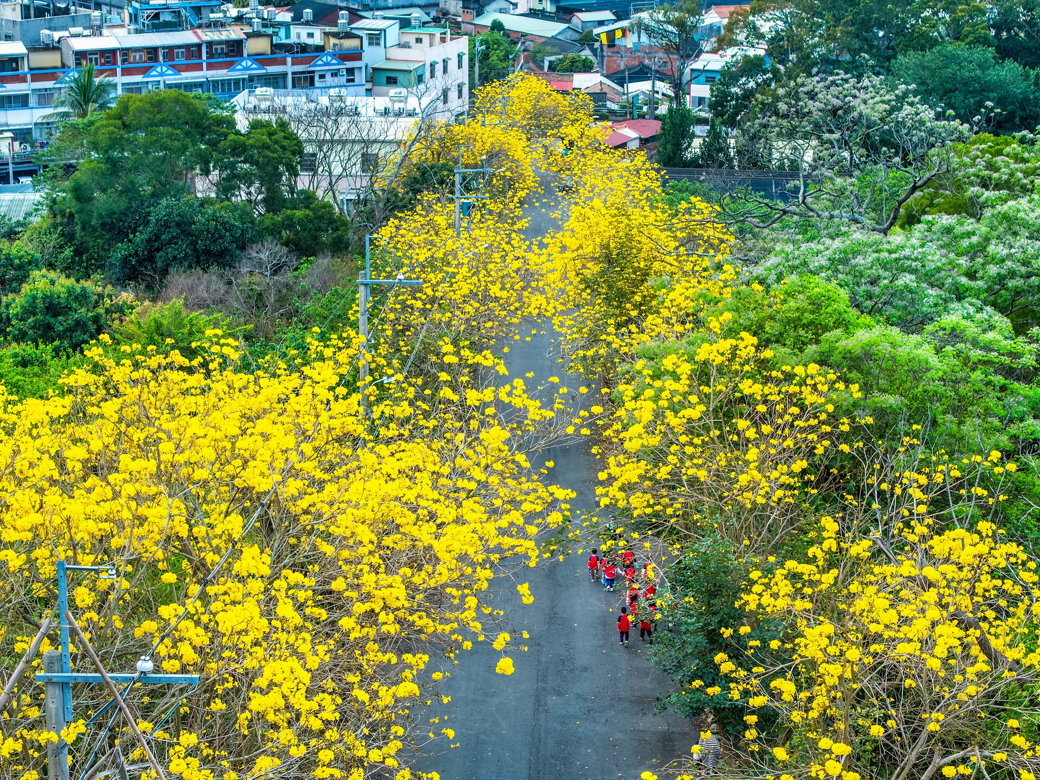 坑內坑森林步道