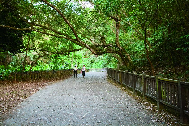 田中森林公園．赤水崎步道(登山懷舊之旅) 