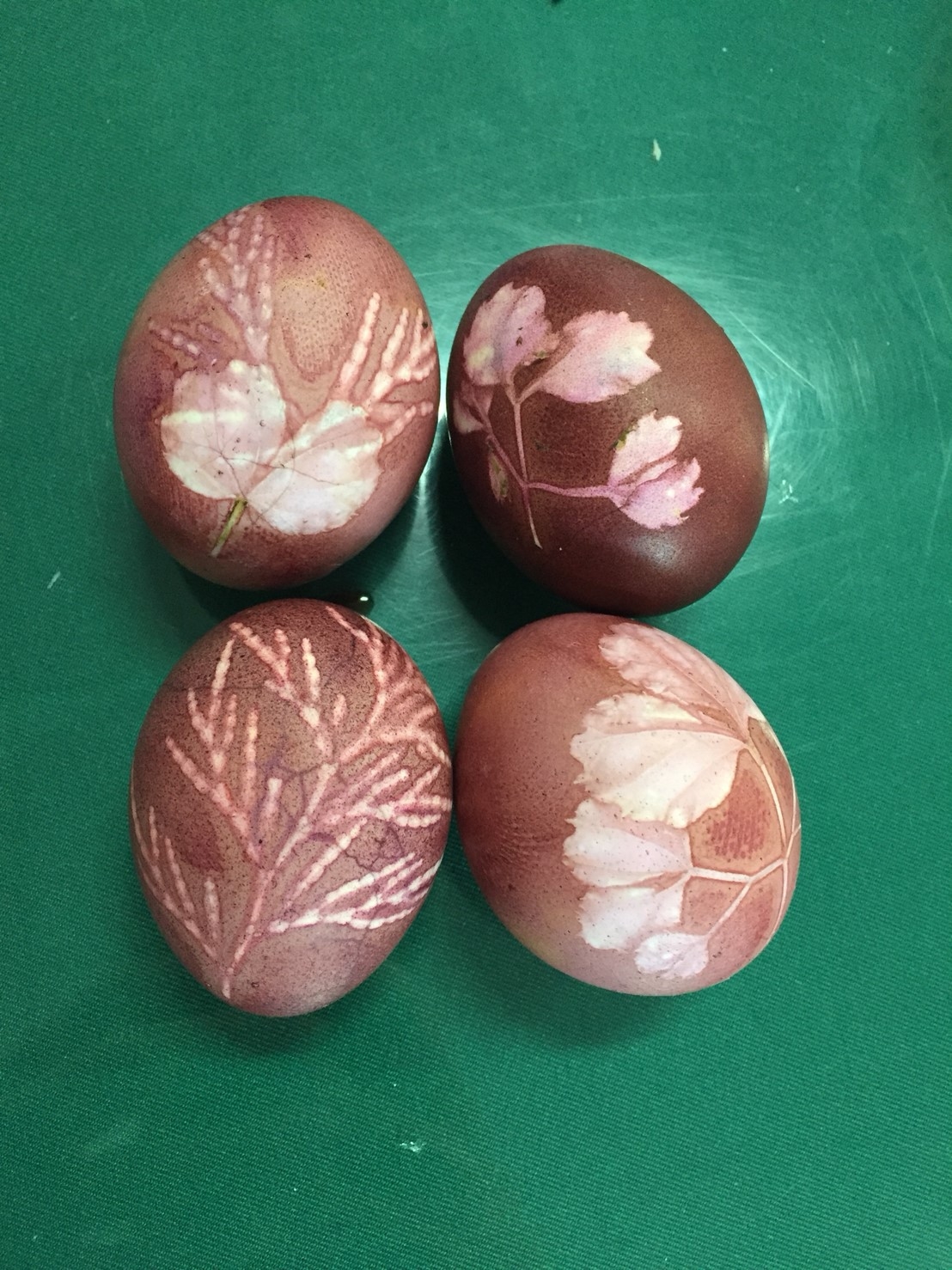 用蘇木煮出來的蛋是粉紫色的
