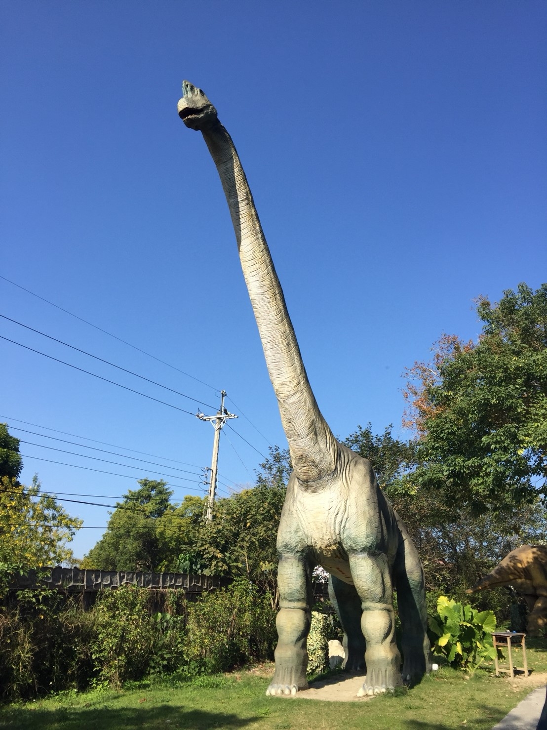 在纜車搭乘處旁的「腕龍」是恐龍界中的大巨人，還沒入園就能從圍牆外看到他的長脖子！