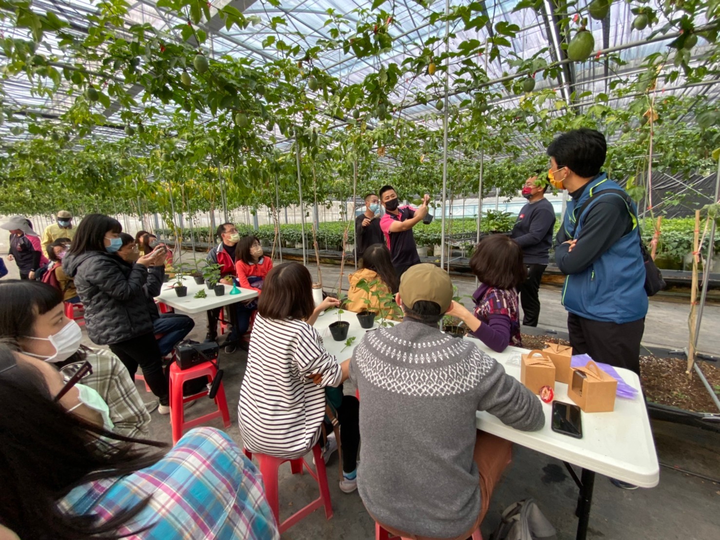 藝龍種苗「亞洲第一」一站式百香果全生態園區巡禮